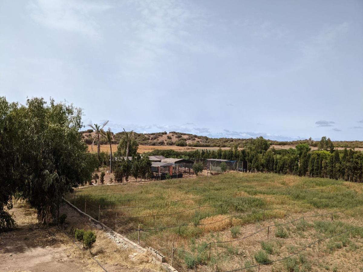 Mesdunes Azemmour Bagian luar foto