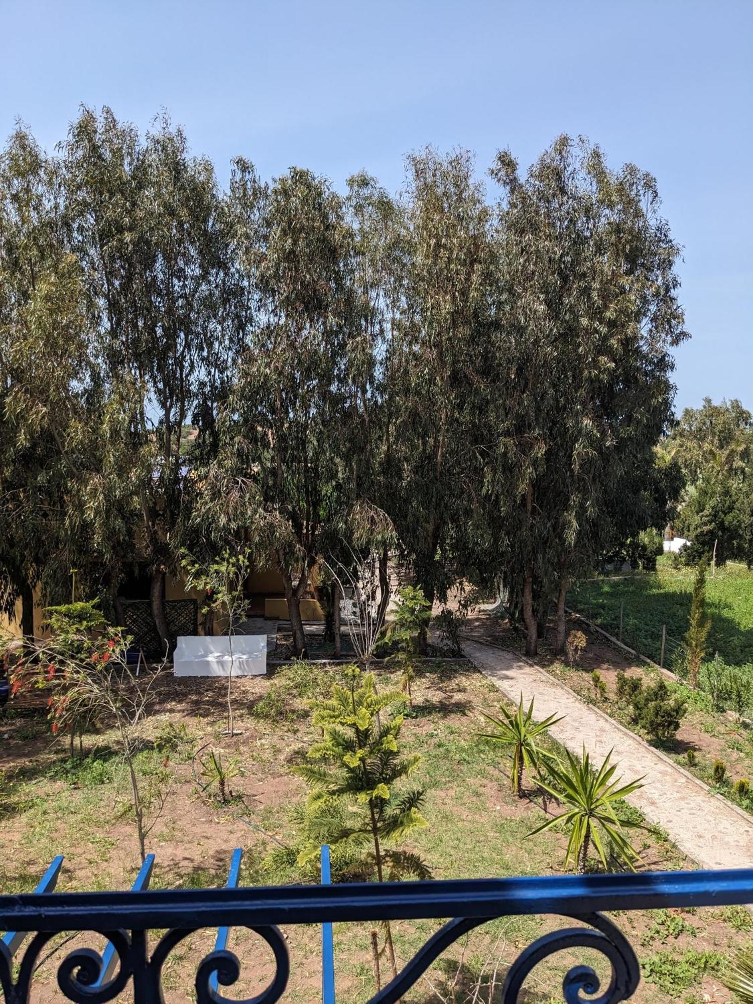 Mesdunes Azemmour Bagian luar foto