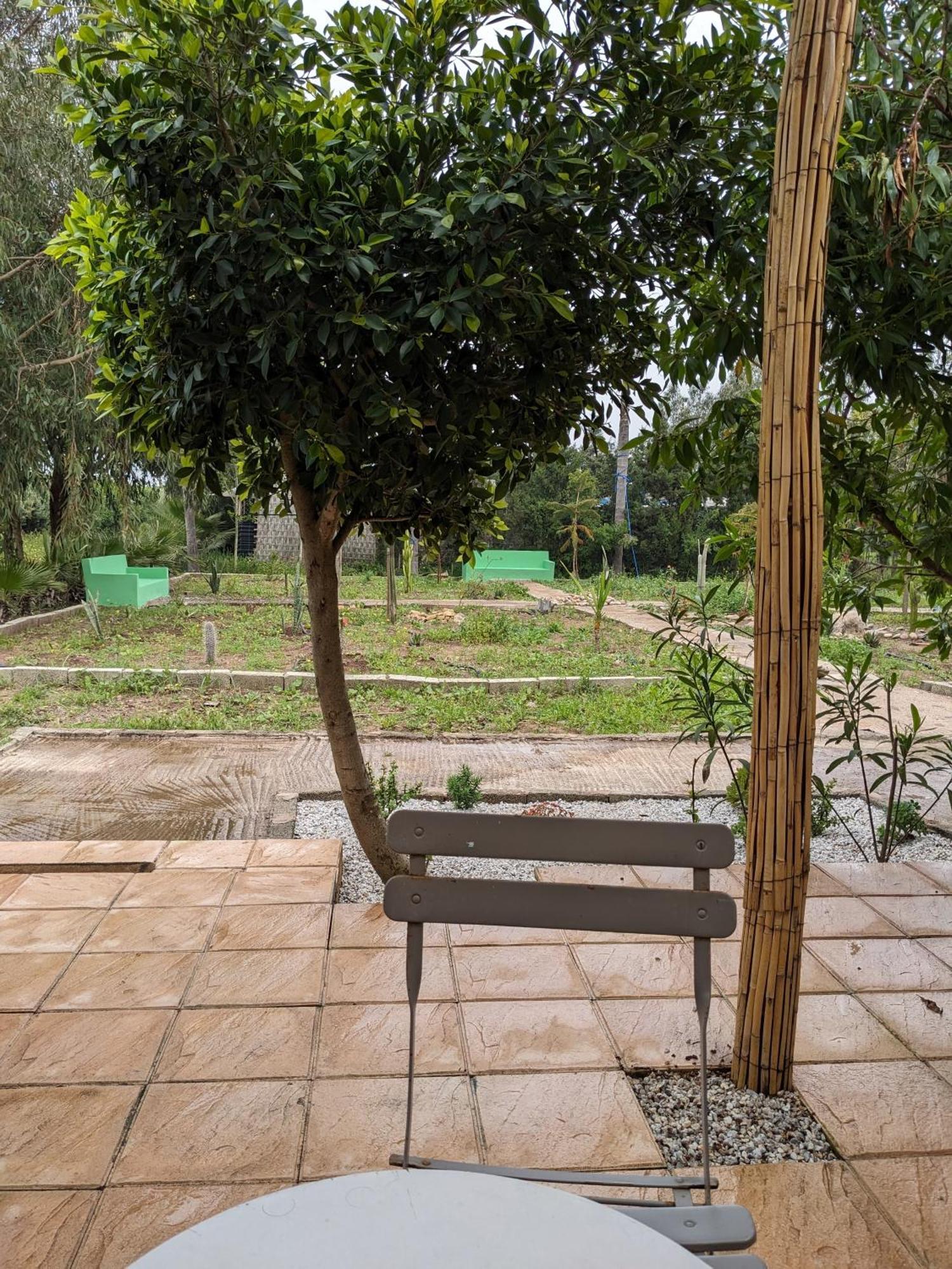Mesdunes Azemmour Bagian luar foto